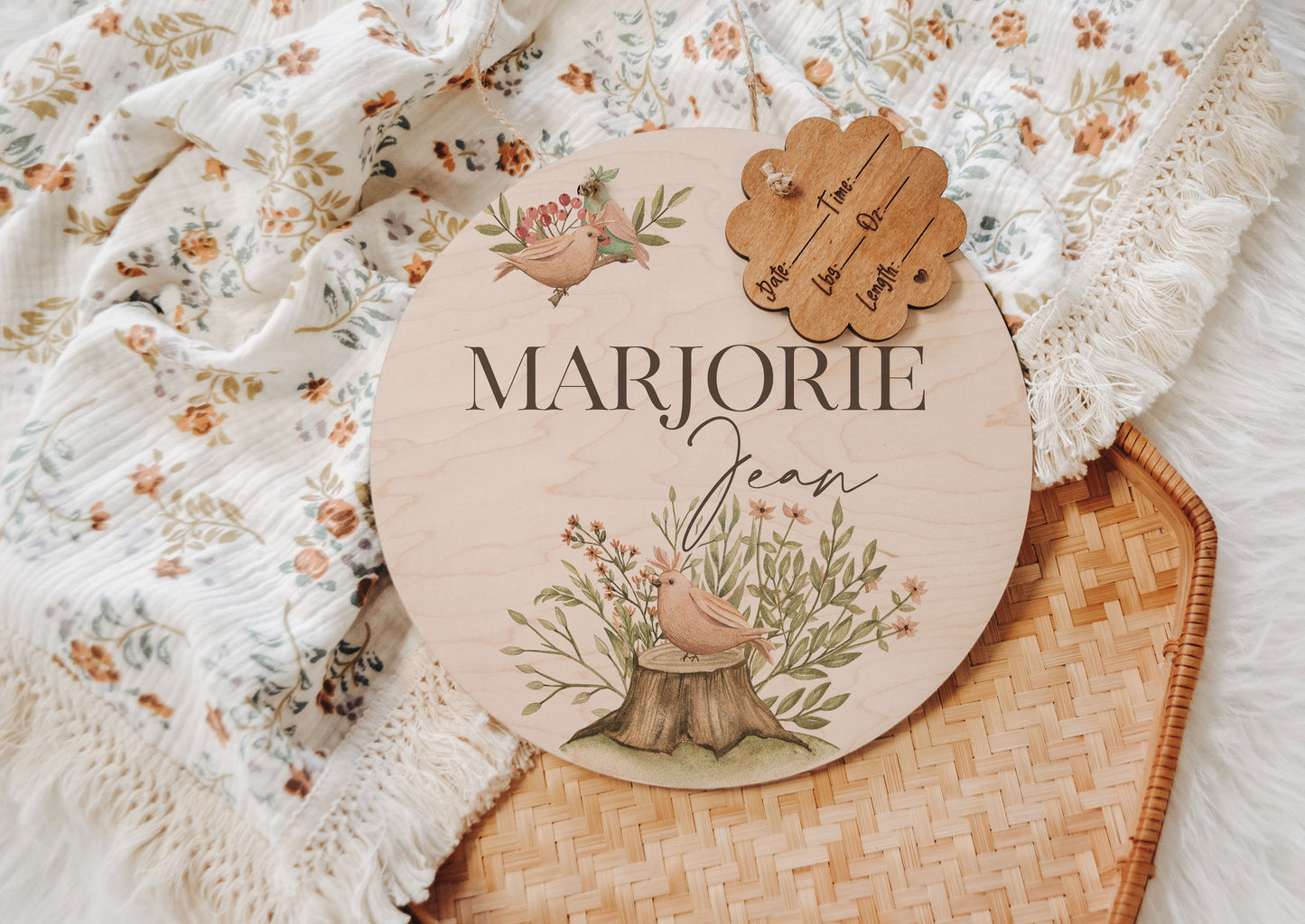 Hospital Door Hanger Girl, Hospital Name Sign, Door Hanger, Birds Baby Doorhanger, Nursery Name Sign, Newborn Birth Stats, Shower Gift