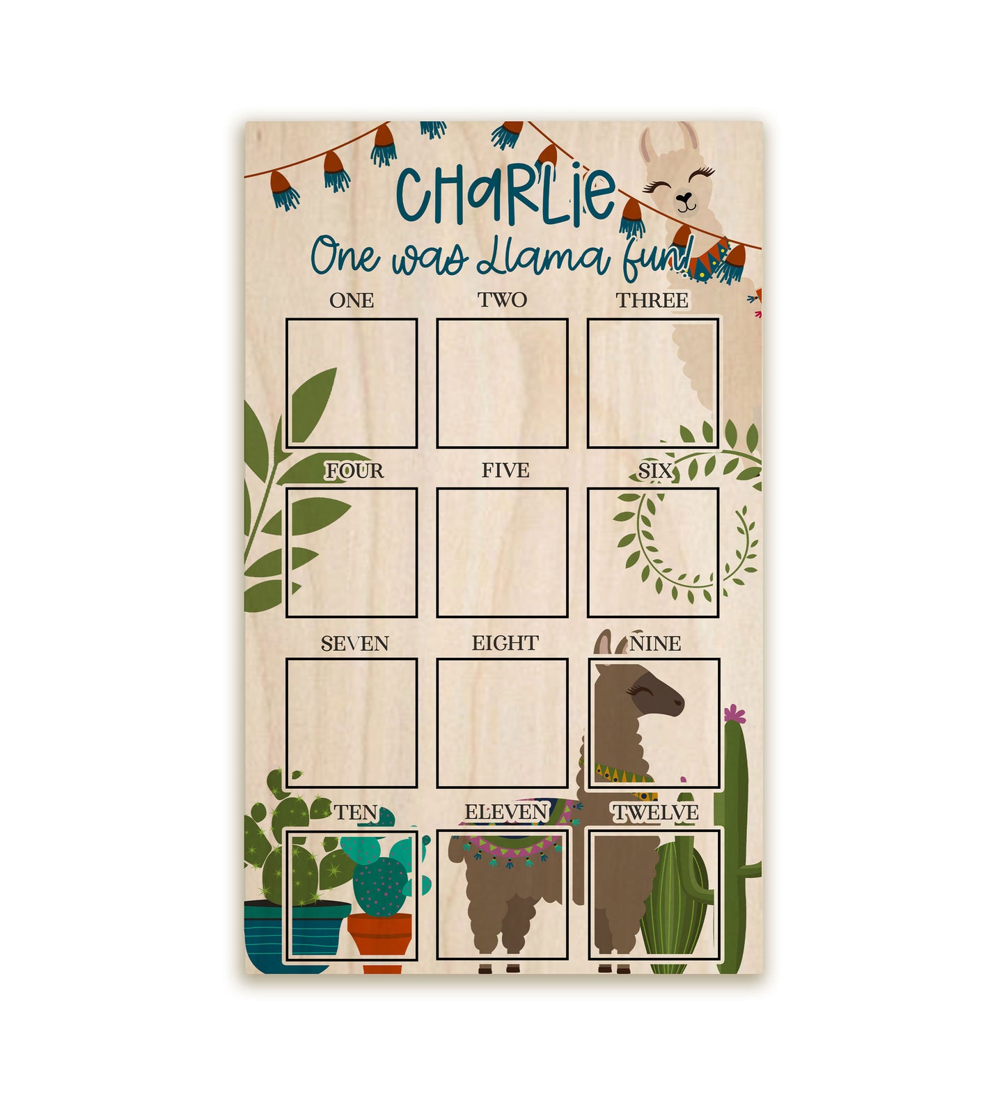 Llama Fun First Year Photo Board