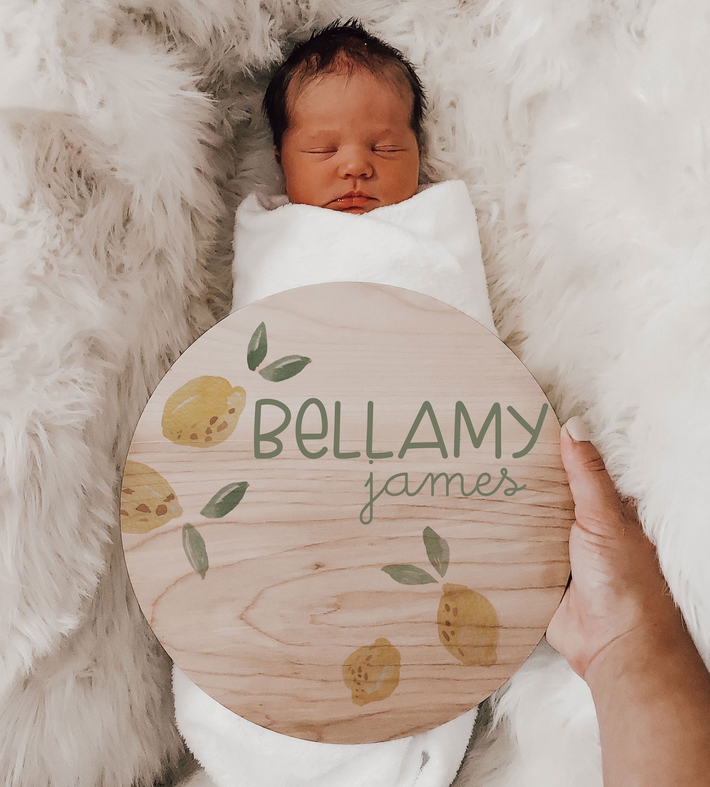 Belamy Collection Birth Stats Sign