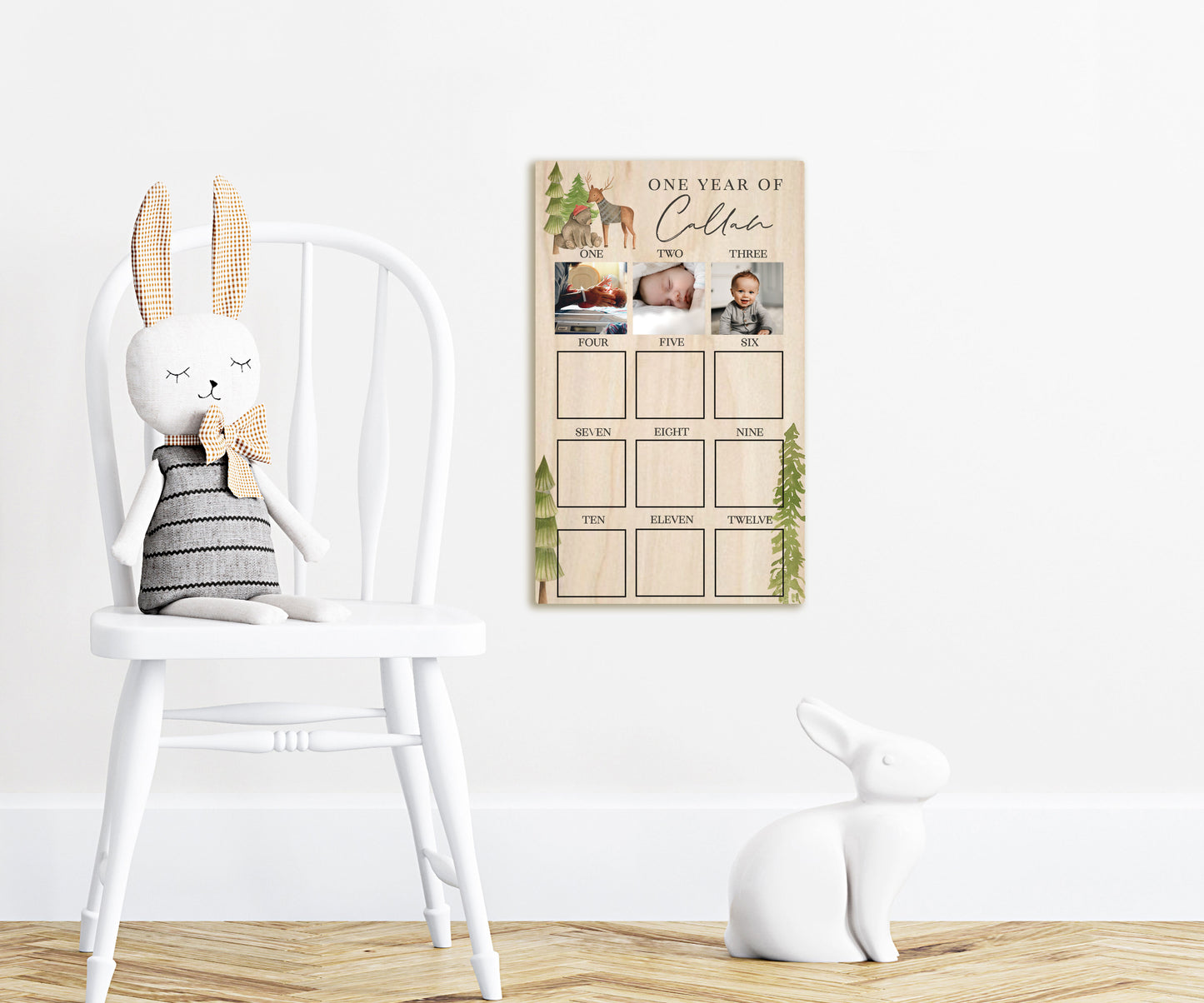Woodland Theme 1st Year Picture Board