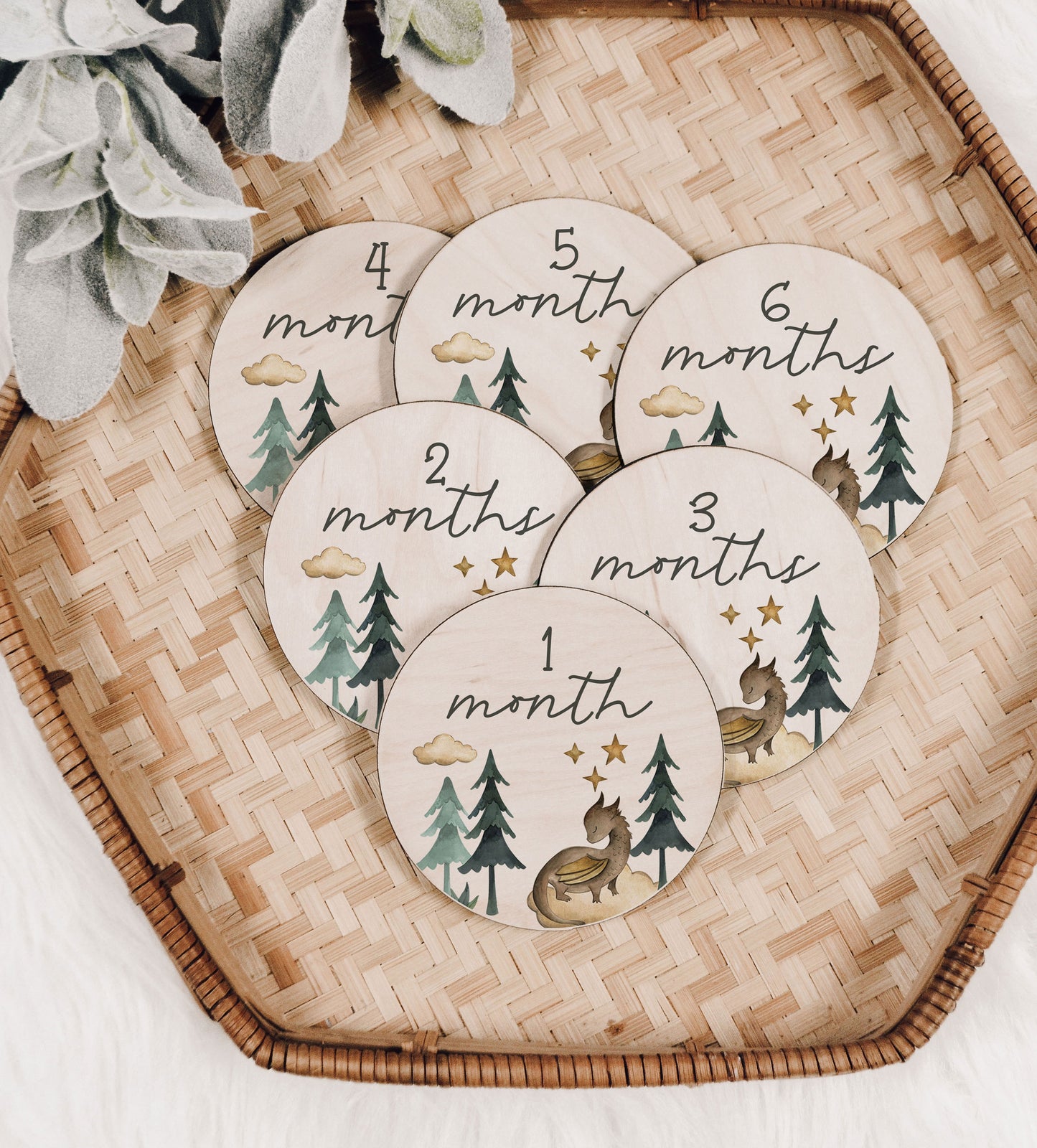Ragnar Collection Dragon Baby Monthly Milestone Set