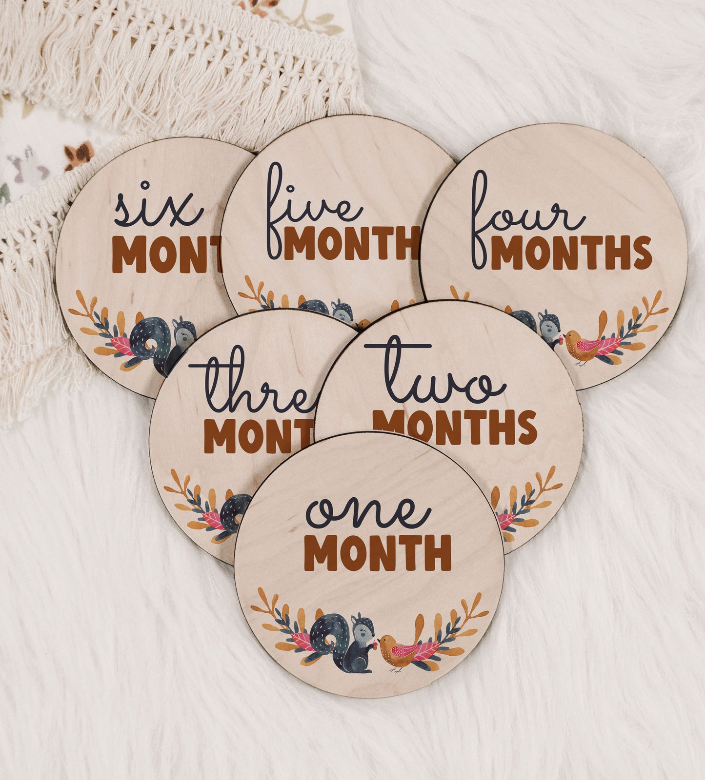 Whimsical Woodland Baby Monthly Milestone Set