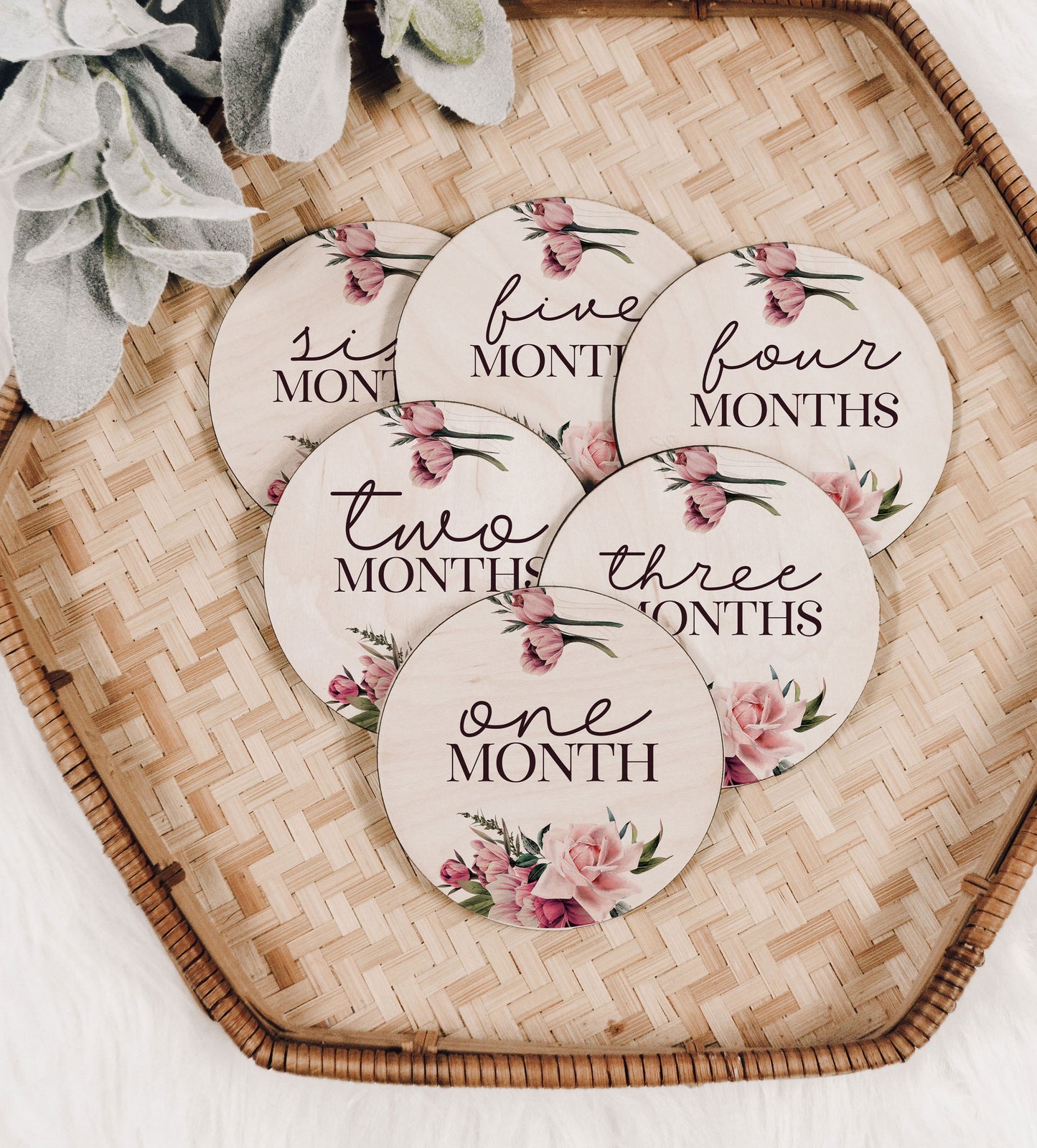 Peony and Roses Baby Monthly Milestone Set