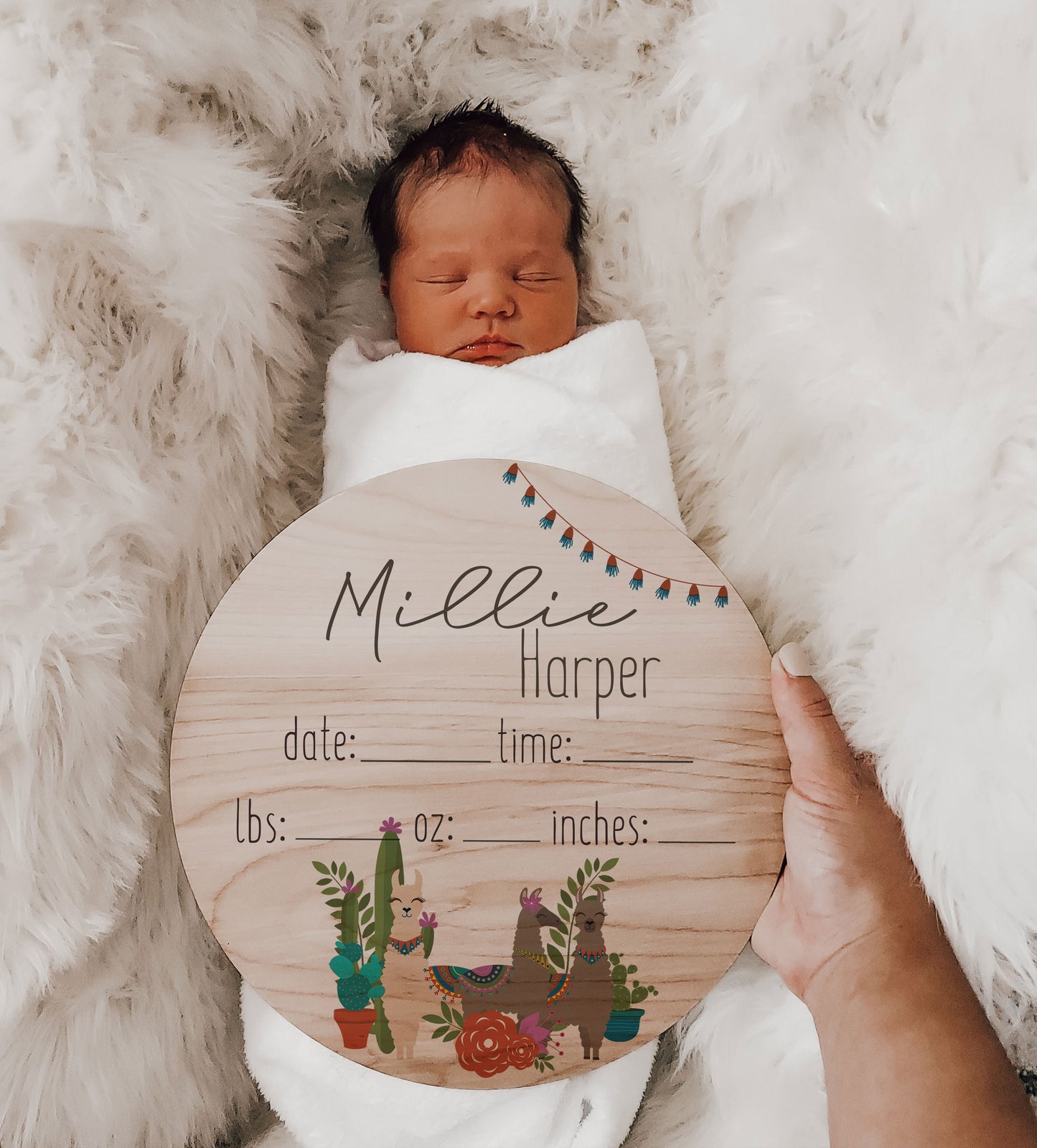 Millie - Cactus Llama Baby Newborn Stats Sign