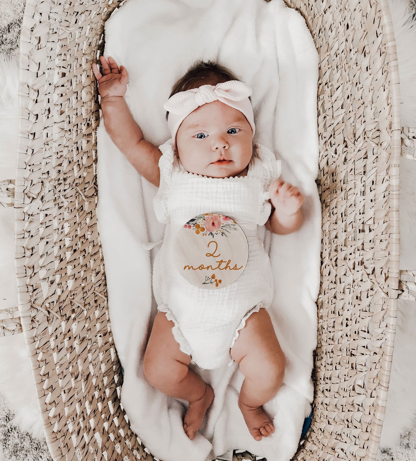 Polly Marie Collection Baby Monthly Milestone Set