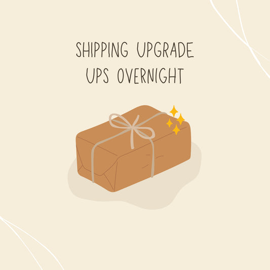 UPS Overnight Shipping Upgrade