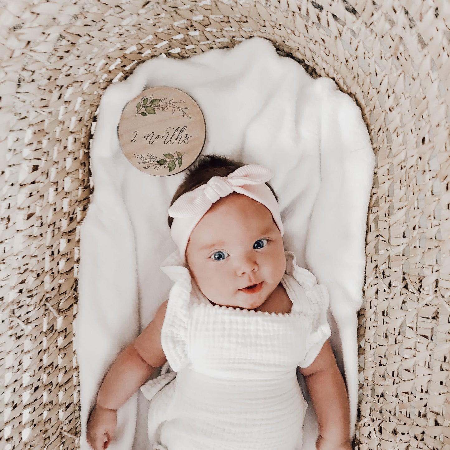 Amelia - Wreath Baby Monthly Milestone Set