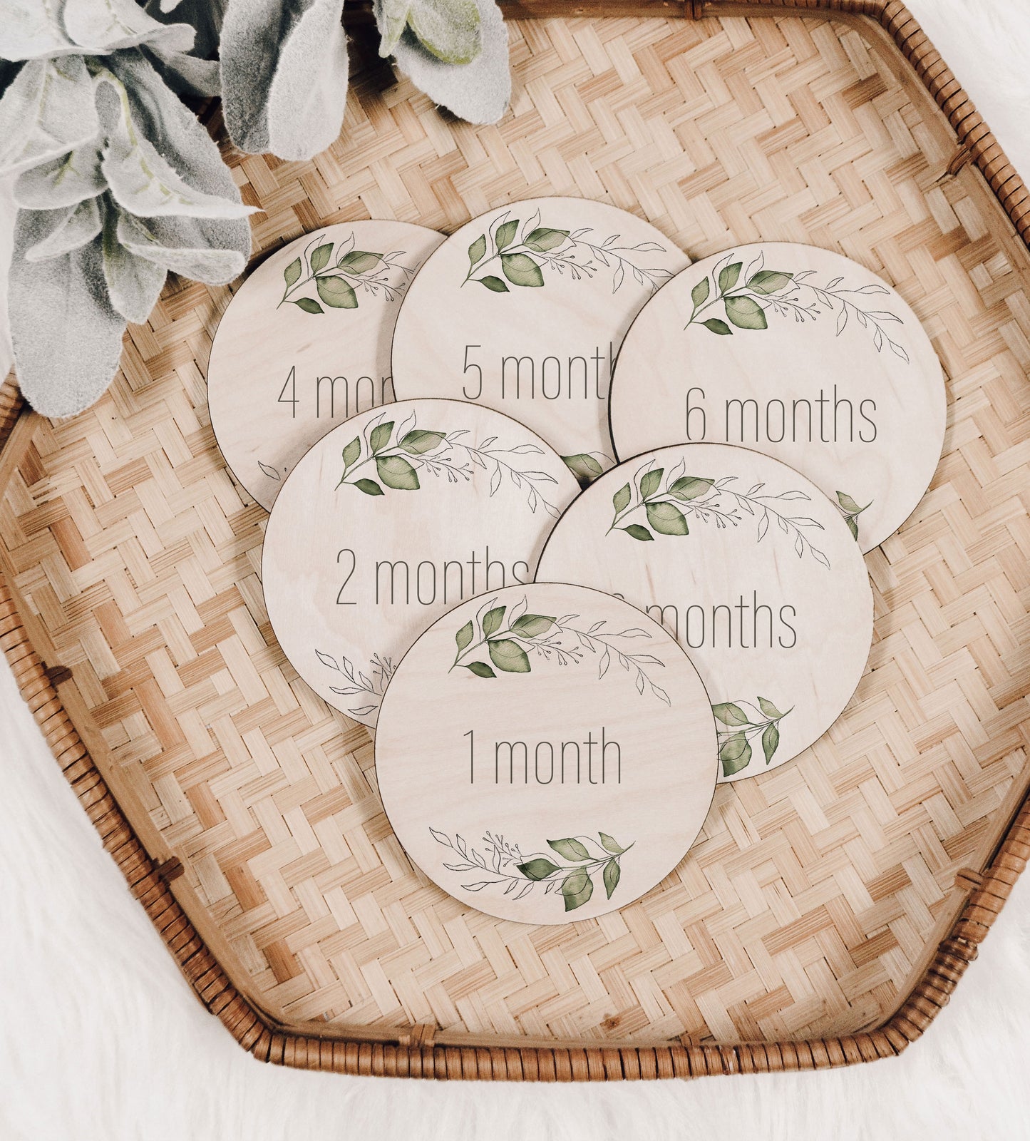 Amelia - Wreath Baby Monthly Milestone Set