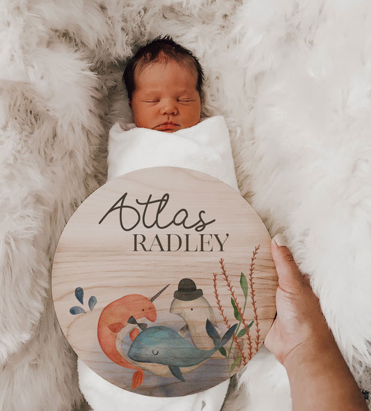 Coastal Birth Announcement Name Sign