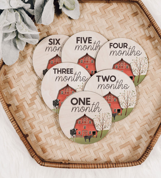 Farm Barn Baby Monthly Milestone Set