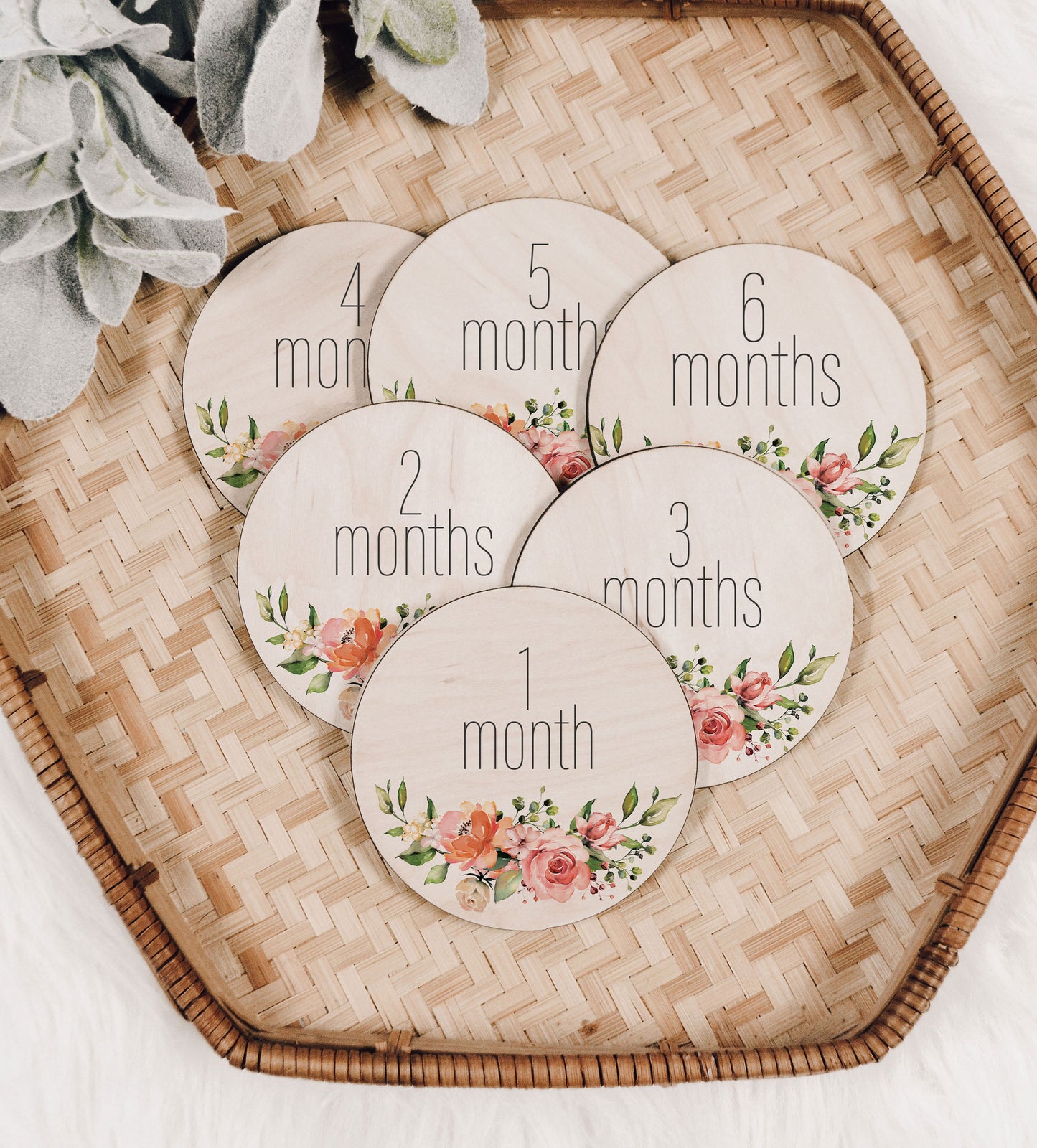 Hattie - Rose Baby Monthly Milestone Set