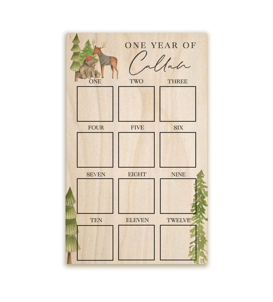 Woodland Theme 1st Year Picture Board