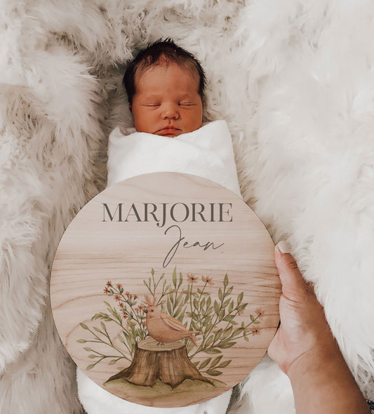 Springtime Bird Birth Announcement Name Sign
