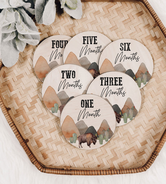 Bison Cactus Baby Monthly Milestone Set