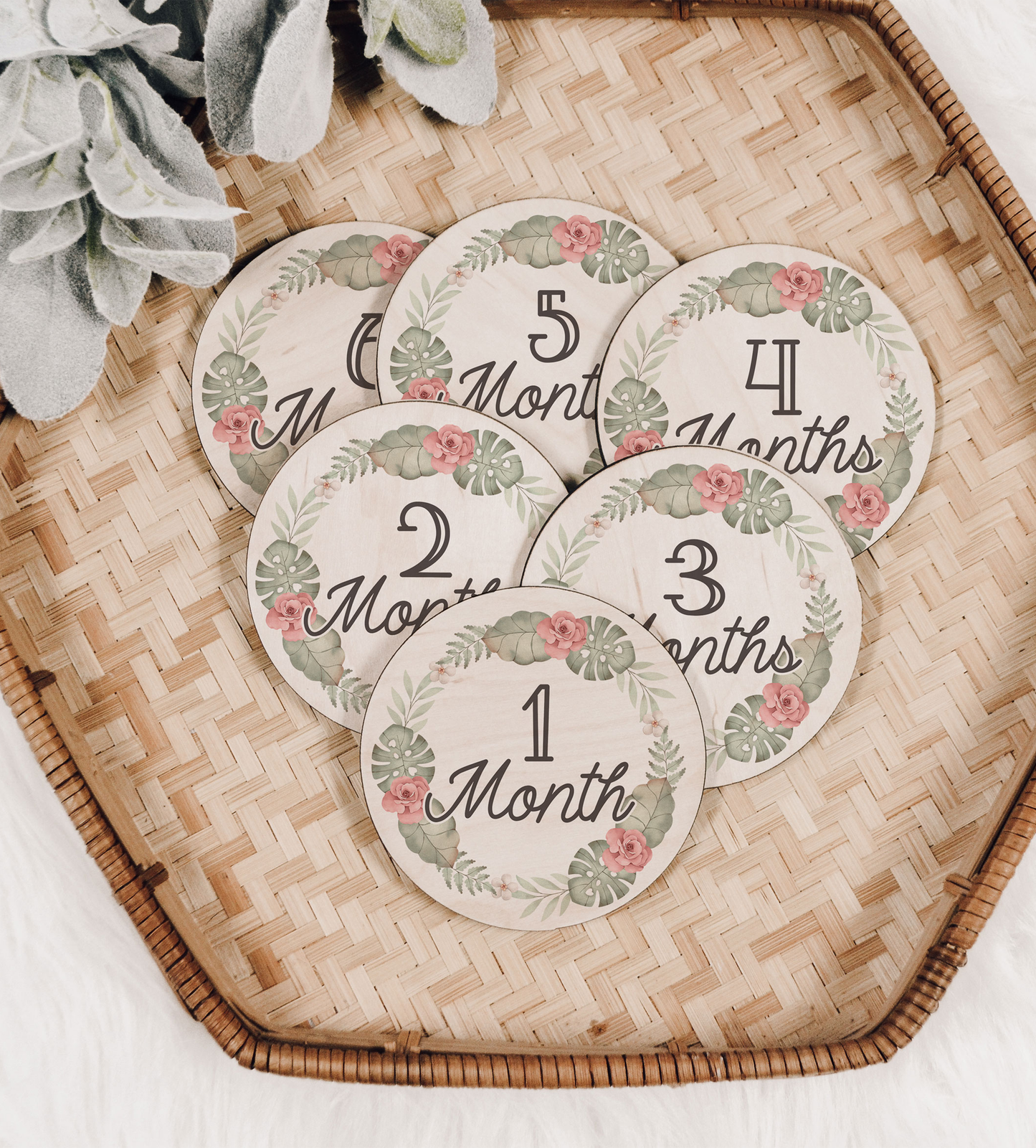 Safari Pink Baby Monthly Milestone Set