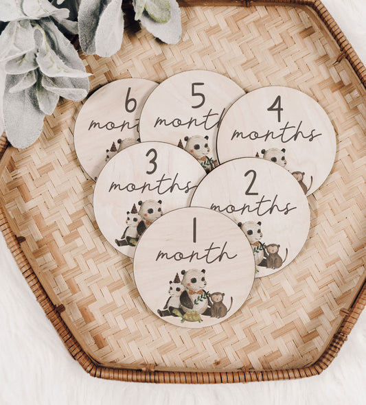 Panda Friends Baby Monthly Milestone Set