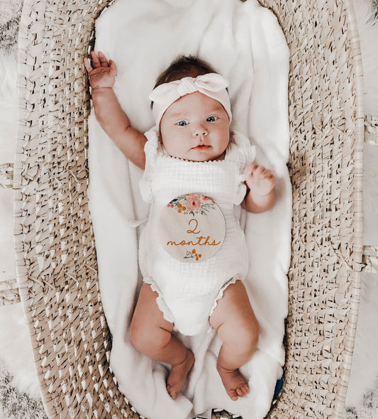 Polly Marie Collection Baby Monthly Milestone Set