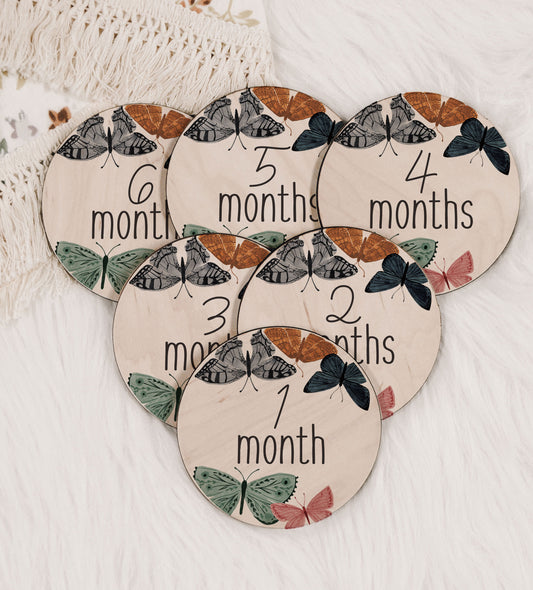 Boho Butterflies Baby Monthly Milestone Set