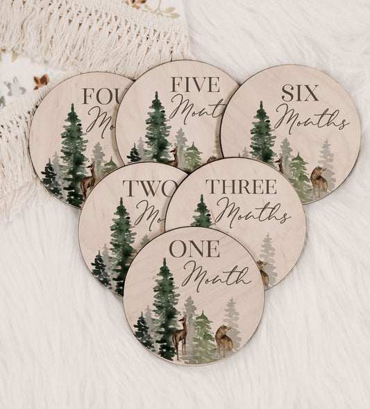 Woodland Animals Baby Monthly Milestone Set