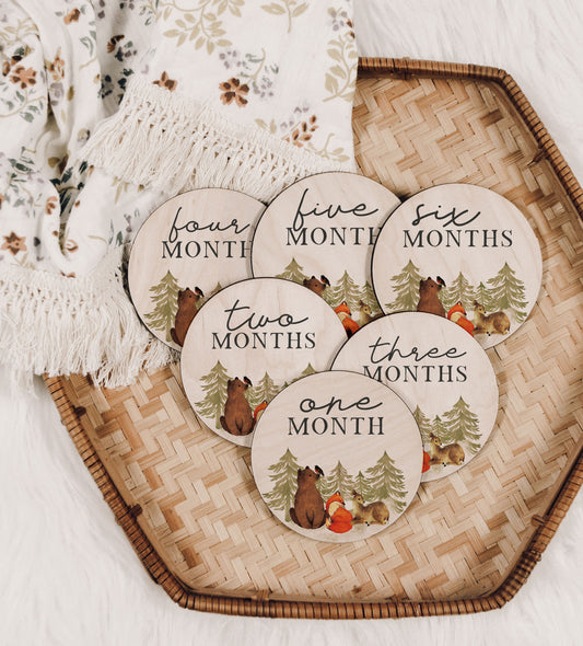 Woodland Bear Baby Monthly Milestone Set
